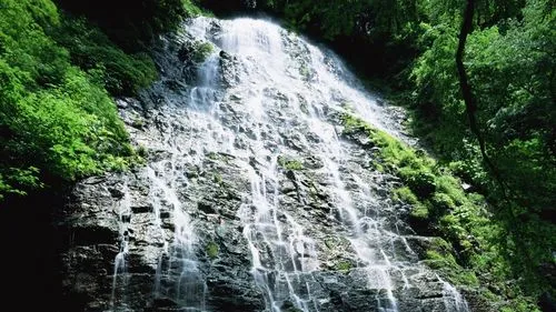 高效高性能
